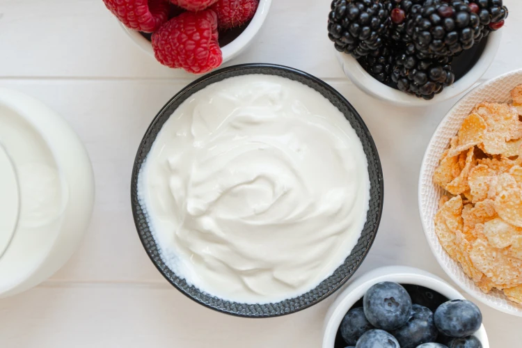 high-protein-snacks-greek-yogurt