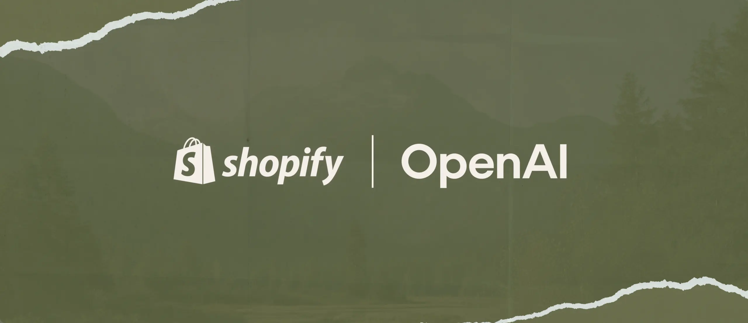 Shopify development