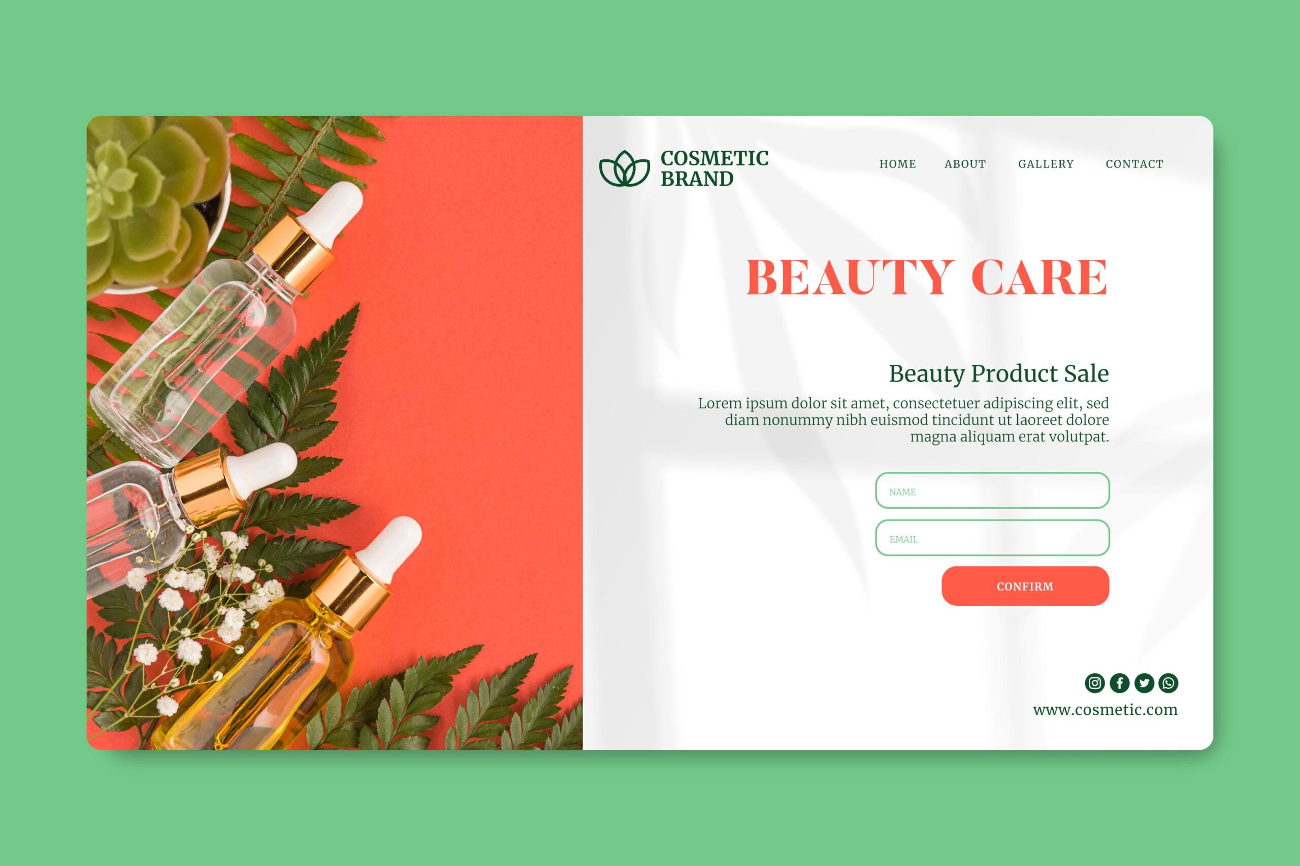 Shopify website development